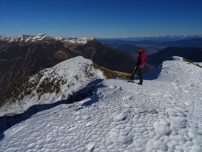 Cimon di Bolentina m. 2287 - Piz di Montes m. 2368